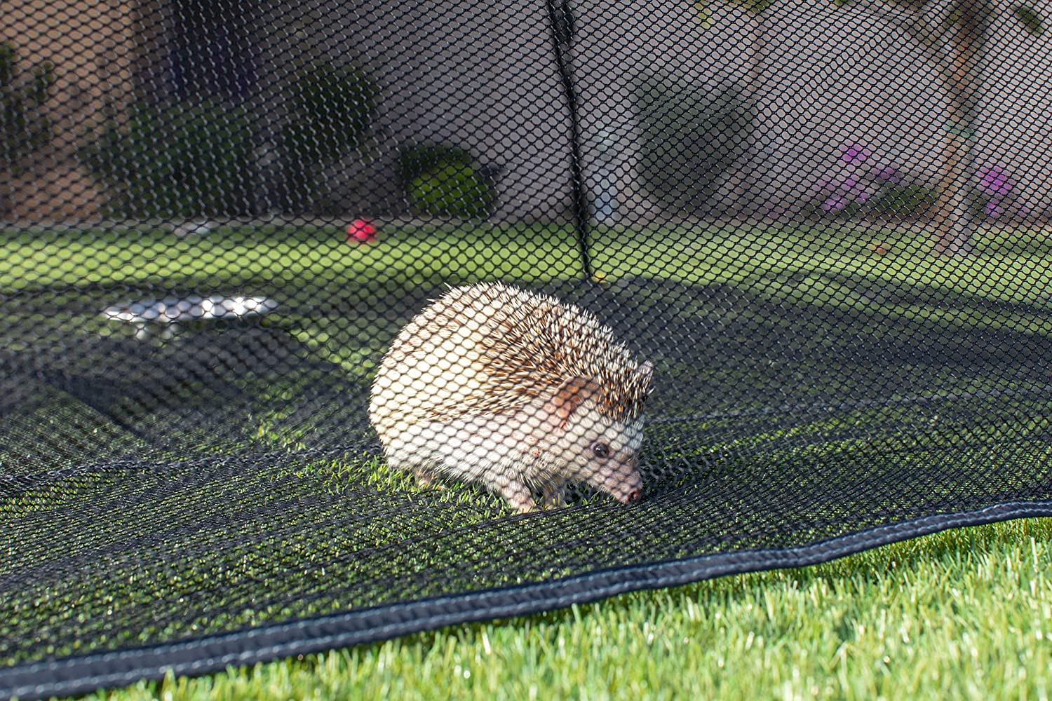 Outdoor Cat Tent With Tunnel