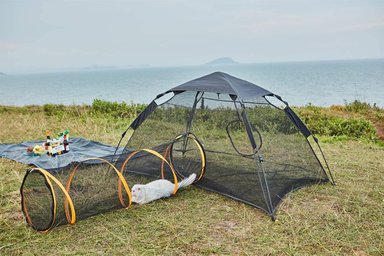Outdoor Cat Tent With Tunnel