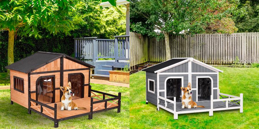 Outdoor Double Doghouse With a Deck
