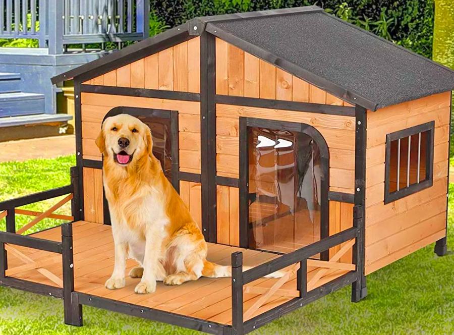 Outdoor Double Doghouse With a Deck