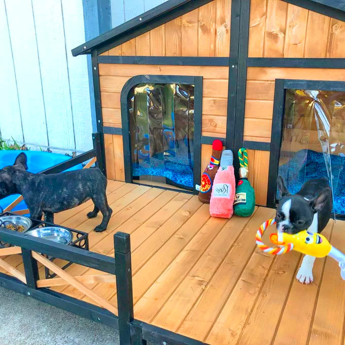 Outdoor Double Doghouse With a Deck