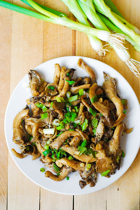 Root Mushroom Farm - Grow Your Own Oyster Mushrooms