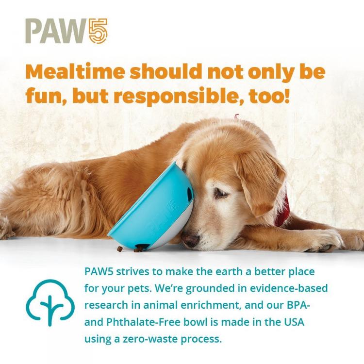 PAW5 Dog Bowl Rolling Puzzle - Slow Feed Dog Bowl