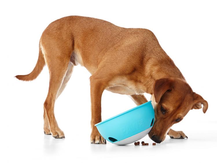 PAW5 Dog Bowl Rolling Puzzle - Slow Feed Dog Bowl