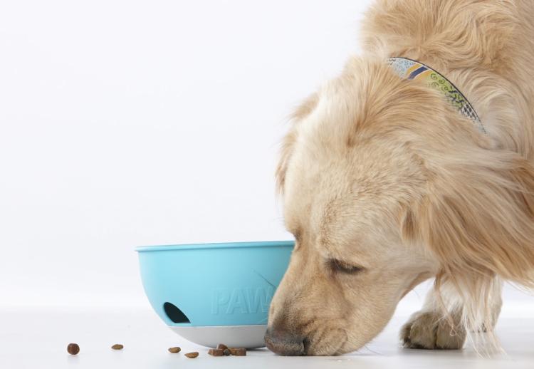PAW5 Dog Bowl Rolling Puzzle - Slow Feed Dog Bowl