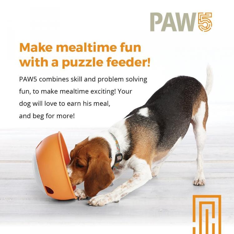 PAW5 Dog Bowl Rolling Puzzle - Slow Feed Dog Bowl