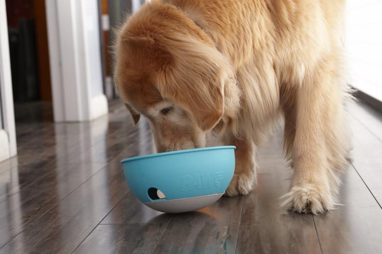 PAW5 Dog Bowl Rolling Puzzle - Slow Feed Dog Bowl