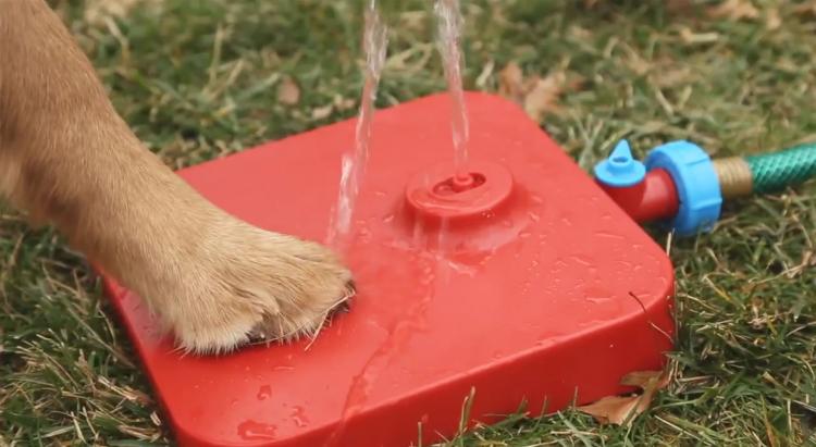 Pawcet Dog Drinking Fountain