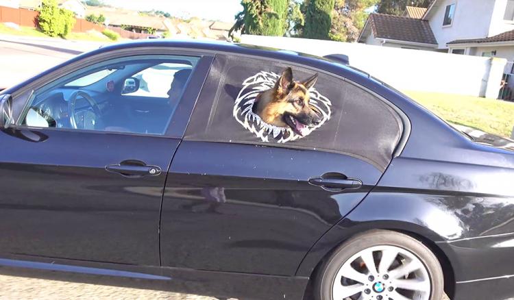Peekapet car window sleeve keeps dog safe while hanging outside car winow - safe car window dog guard