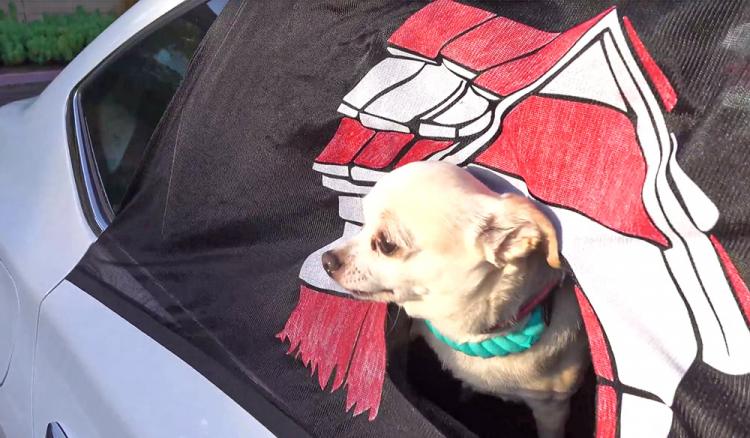 Peekapet car window sleeve keeps dog safe while hanging outside car winow - safe car window dog guard