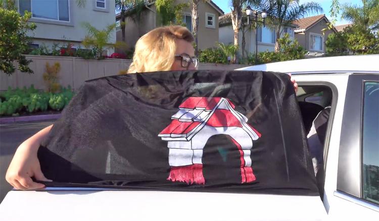 Peekapet car window sleeve keeps dog safe while hanging outside car winow - safe car window dog guard