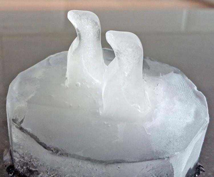 Arctic Ice Molds Show Polar Bears and Penguins Walking On Glaciers - Polar bear and penguins ice cube molds