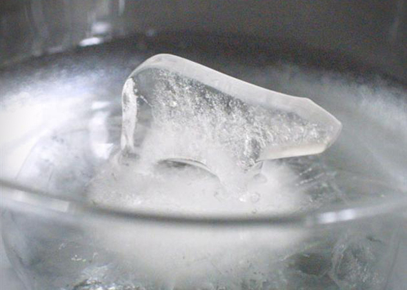 Arctic Ice Molds Show Polar Bears and Penguins Walking On Glaciers - Polar bear and penguins ice cube molds