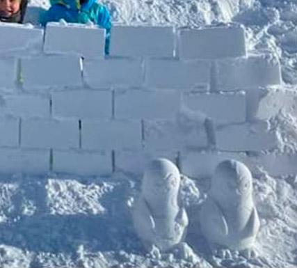 Penguin Shaped Snow Mold