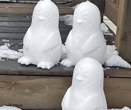 Penguin Shaped Snow Mold