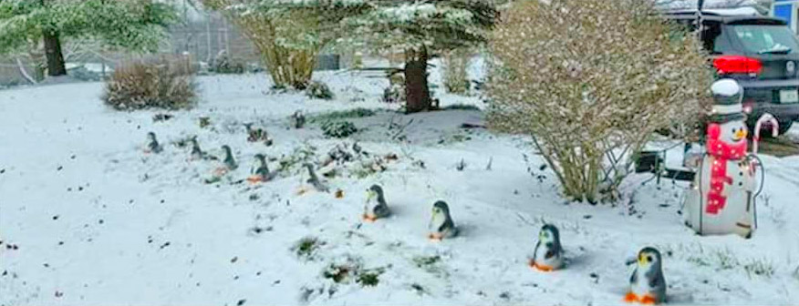 Penguin Shaped Snow Mold