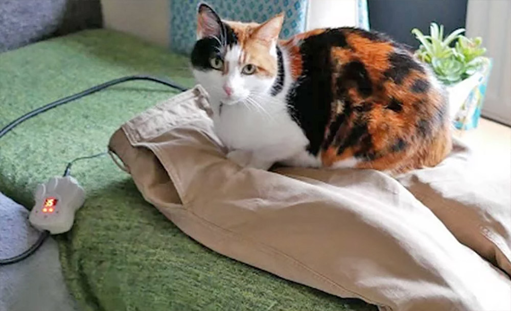 fake human decoy lap for cats - Fake stuffed pants with heated mat for cats