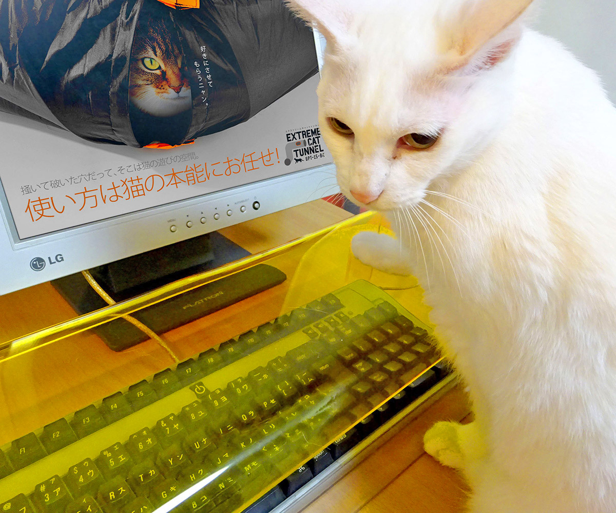 fake human decoy lap for cats - Fake stuffed pants with heated mat for cats
