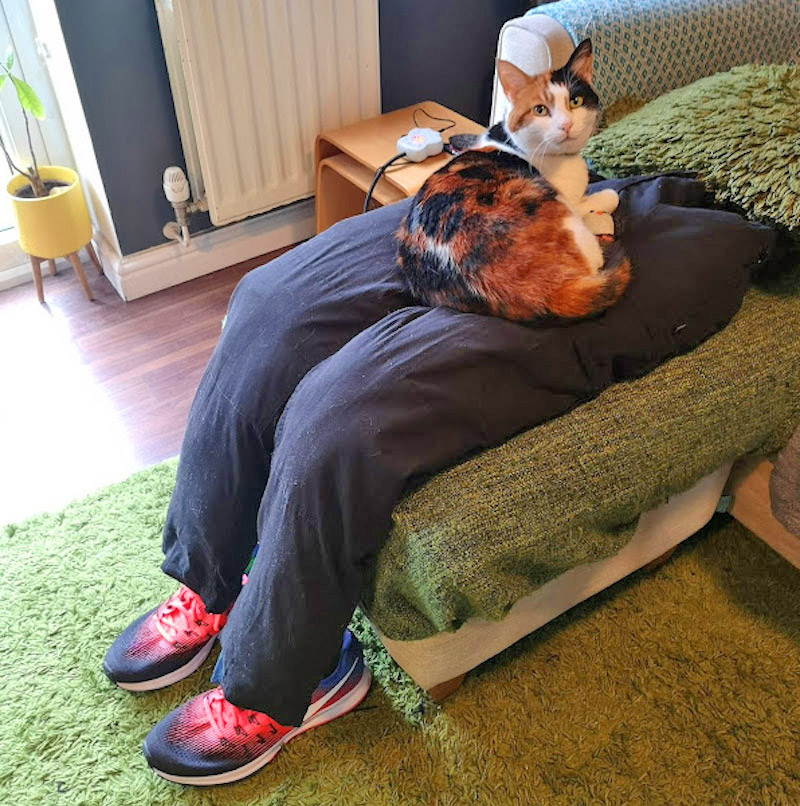 fake human decoy lap for cats - Fake stuffed pants with heated mat for cats