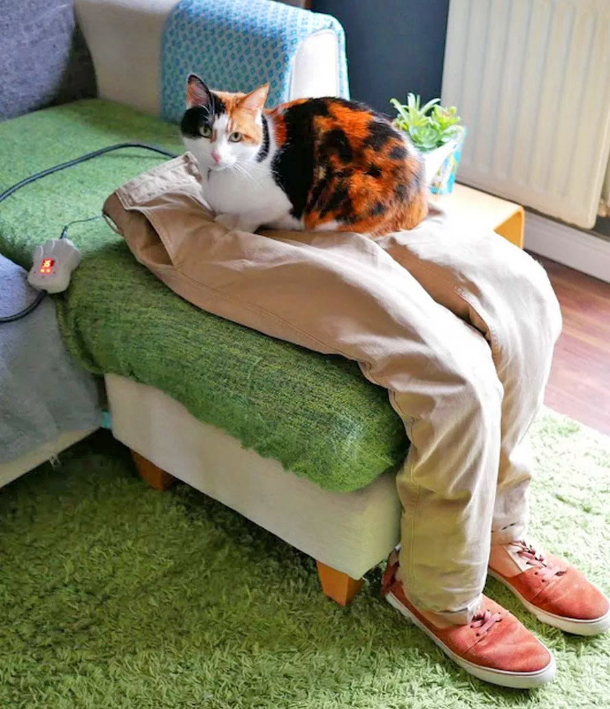 fake human decoy lap for cats - Fake stuffed pants with heated mat for cats