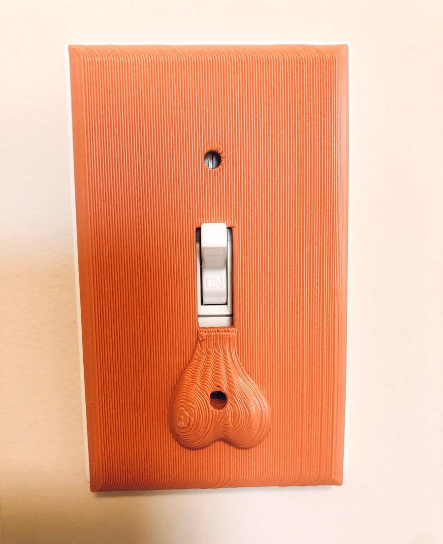Balls and testicles Dirty and naughty light switch plate