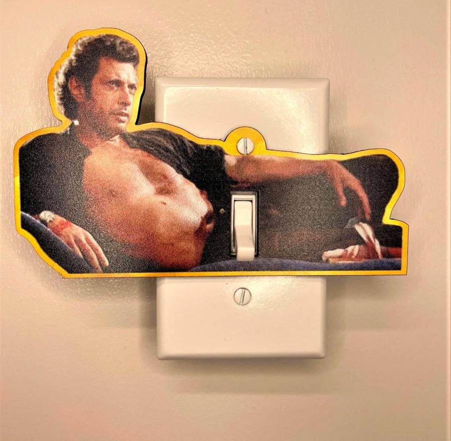 Jurassic Park Jeff Goldblum naughty light switch decal
