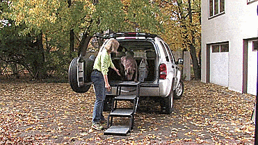 Pet Loader Folding Dog Stairs Helps Get Elderly Dogs Into Car or Truck
