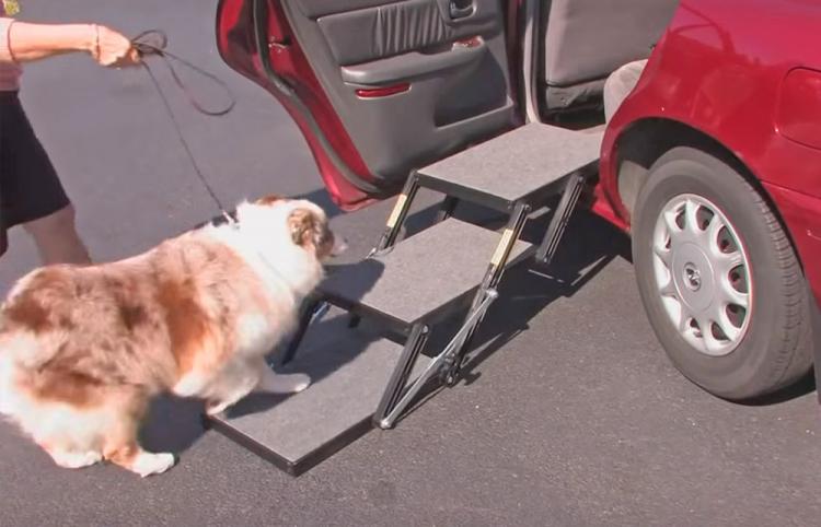 Pet Loader Folding Dog Stairs Helps Get Elderly Dogs Into Car or Truck
