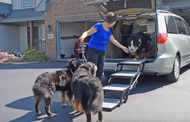 Pet Loader Folding Dog Stairs Helps Get Elderly Dogs Into Car or Truck