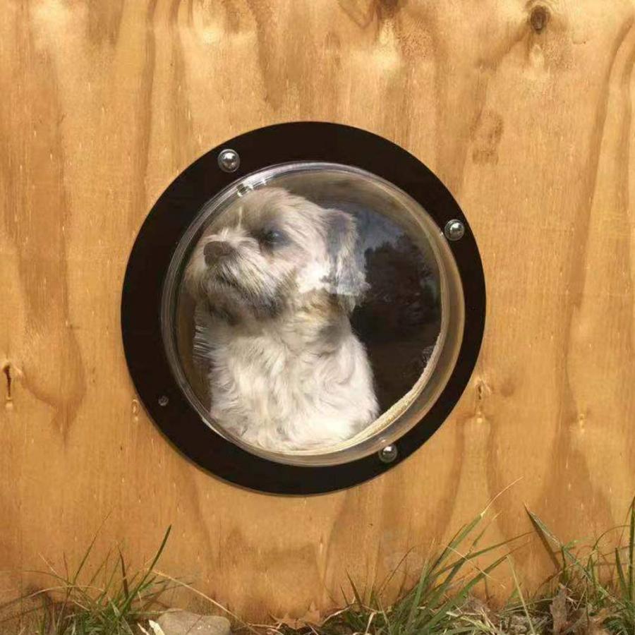 Pet Peek Fence Window For Dogs - bubble window for fences