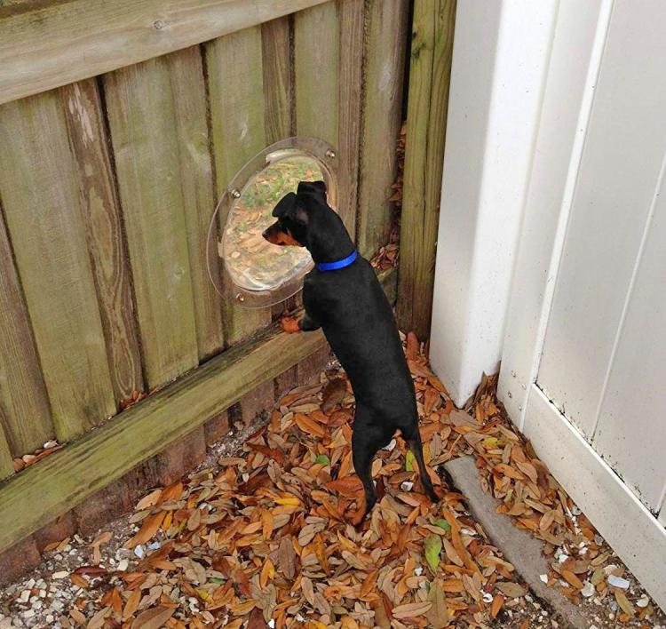 Pet Peek Fence Window For Dogs - bubble window for fences