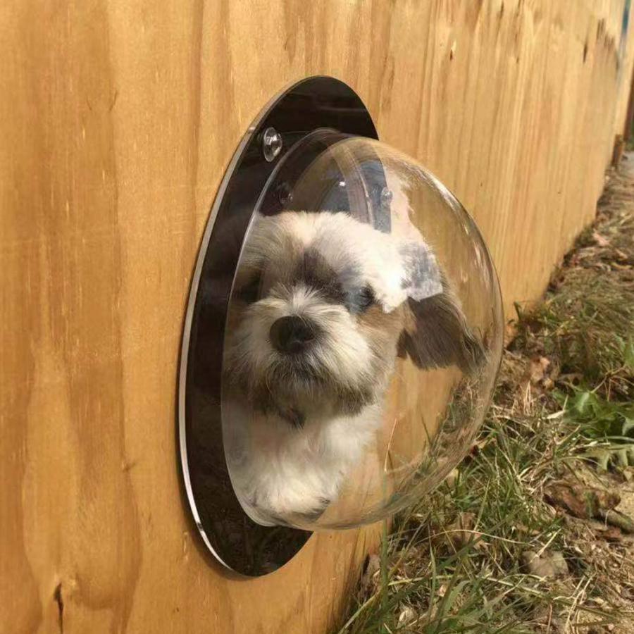 Pet Peek Fence Window For Dogs - bubble window for fences