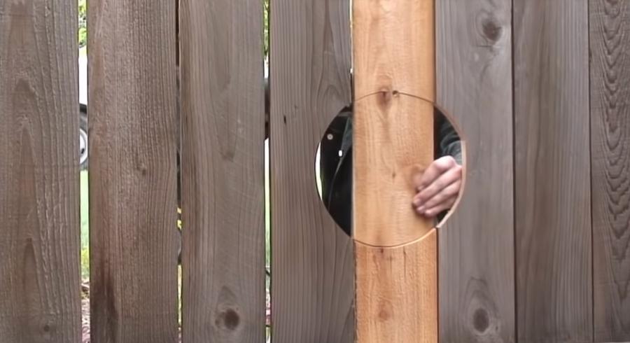 Pet Peek Fence Window For Dogs - bubble window for fences