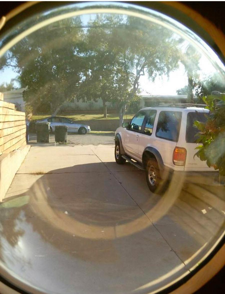 Pet Peek Fence Window For Dogs - bubble window for fences