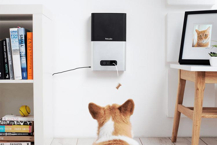 PetCube Bites - Interactive Pet Camera That Flings Treats - Treat launching pet camera