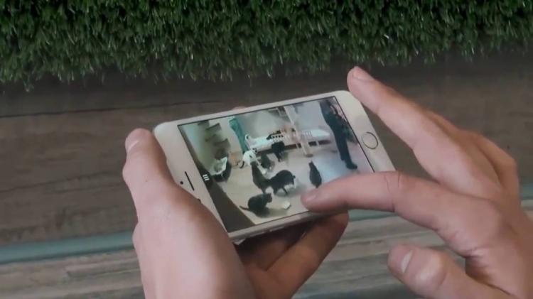 PetCube Bites - Interactive Pet Camera That Flings Treats - Treat launching pet camera