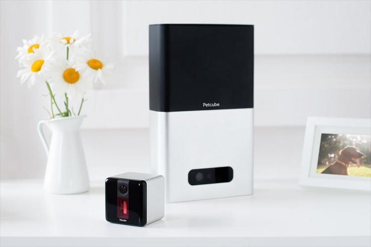 PetCube Bites - Interactive Pet Camera That Flings Treats - Treat launching pet camera