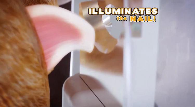 Peticare: Pet Nail Clipper With LED Light That Illuminates Nail Quick - Best dog nail clipper