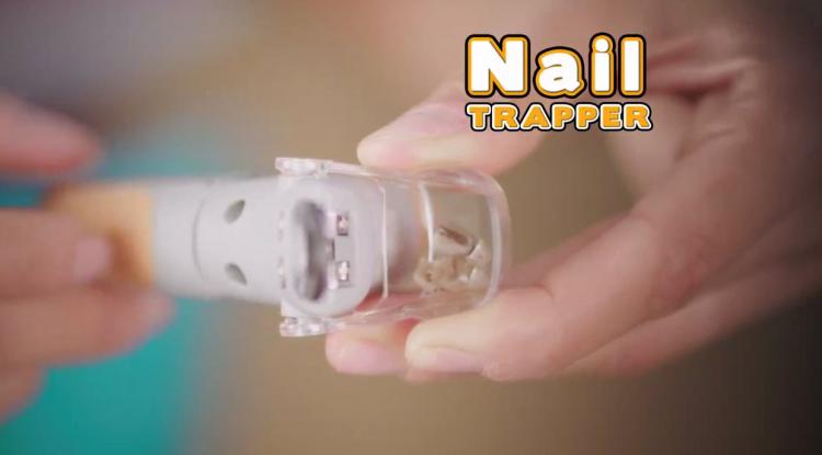 Peticare: Pet Nail Clipper With LED Light That Illuminates Nail Quick - Best dog nail clipper