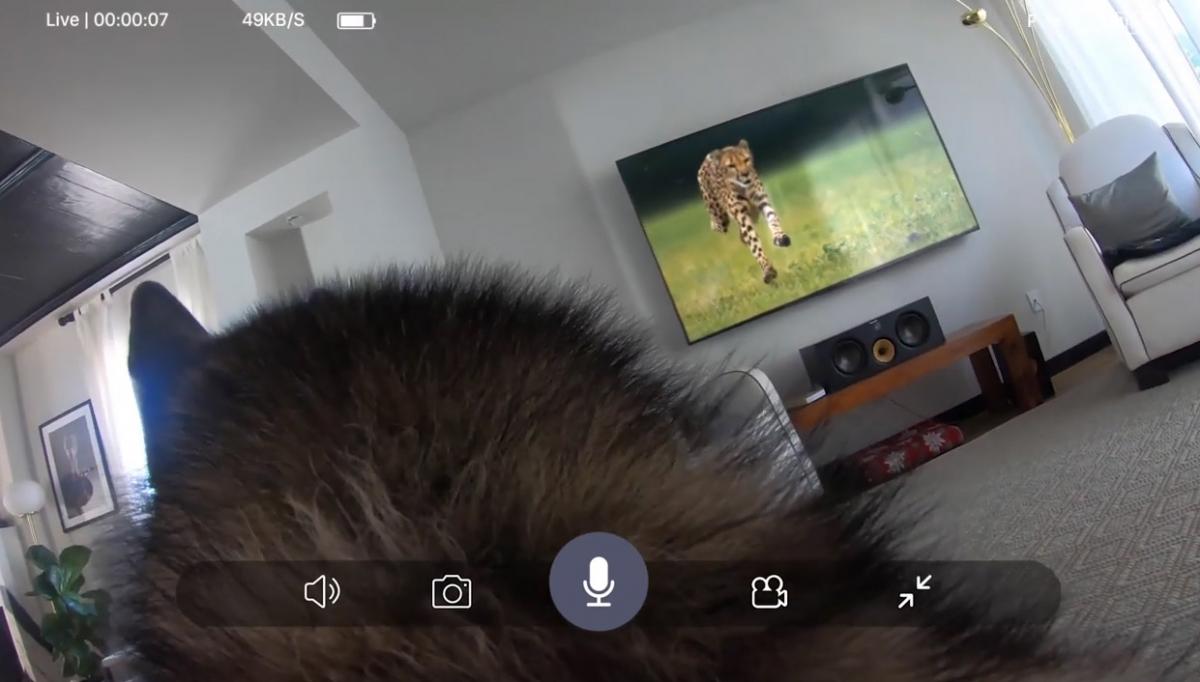 PetNow Smart Pet Camera - POV first person remote dog camera