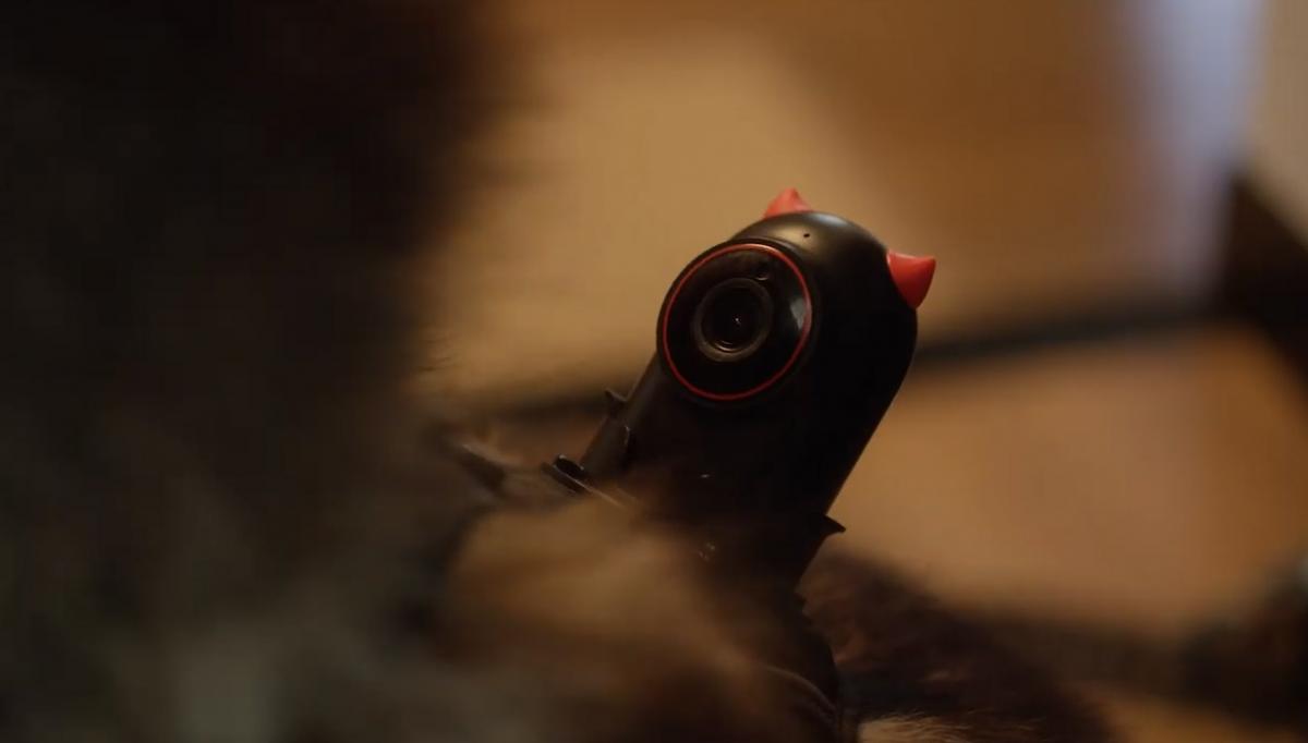 PetNow Smart Pet Camera - POV first person remote dog camera