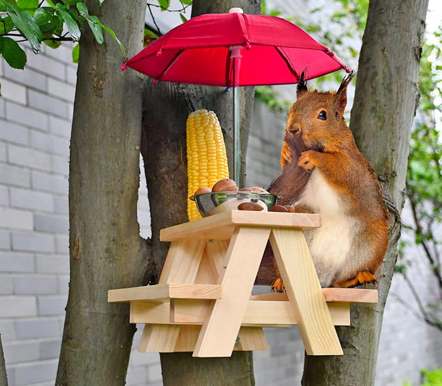 Picnic Table Squirrel Feeder With Umbrella