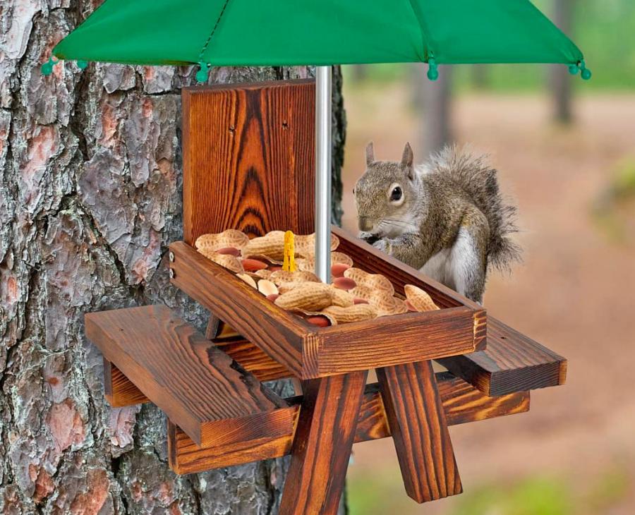 Picnic Table Squirrel Feeder With Umbrella