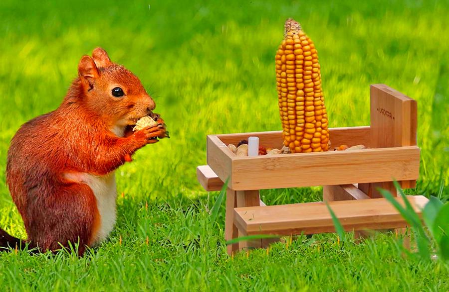 Picnic Table Squirrel Feeder With Umbrella