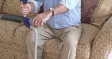 Pilot Step-Up Cane - Walking can with half-step - Stairs assistance cane