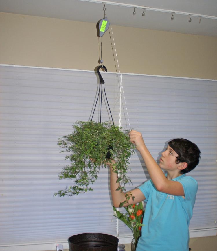 Plant Caddie - Plant Pulley System