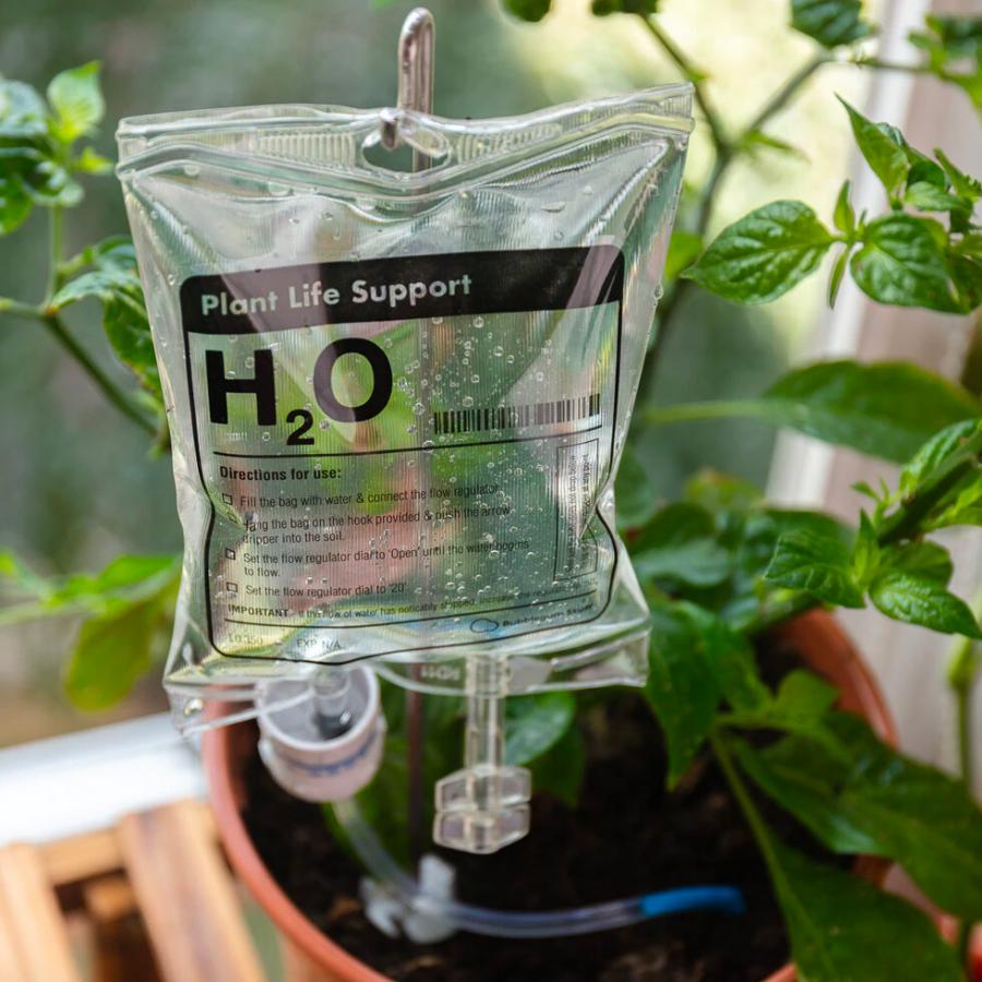 House Plant Watering IV Bag