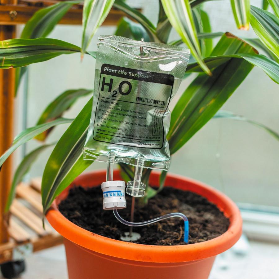 House Plant Watering IV Bag