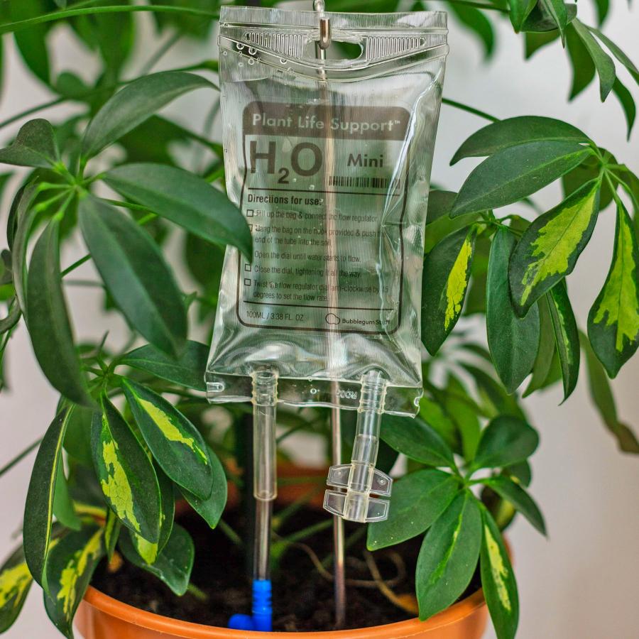 House Plant Watering IV Bag