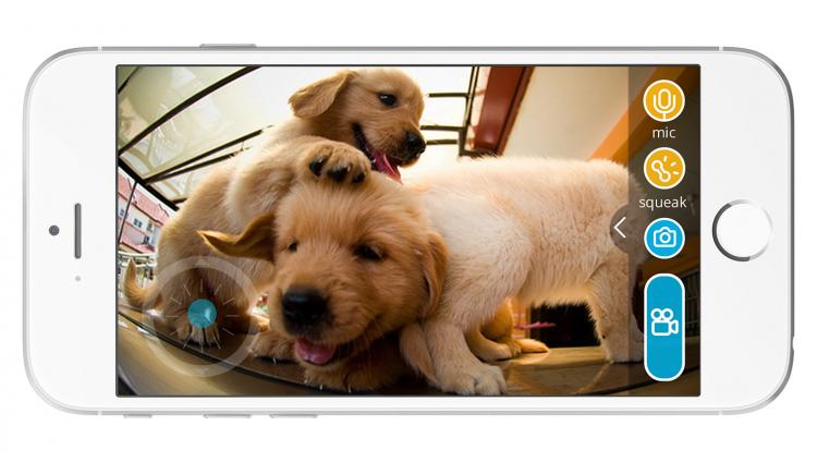 PlayDate Interactive Dog Toy - Doy Toy Ball With Camera Control From Anywhere In The World